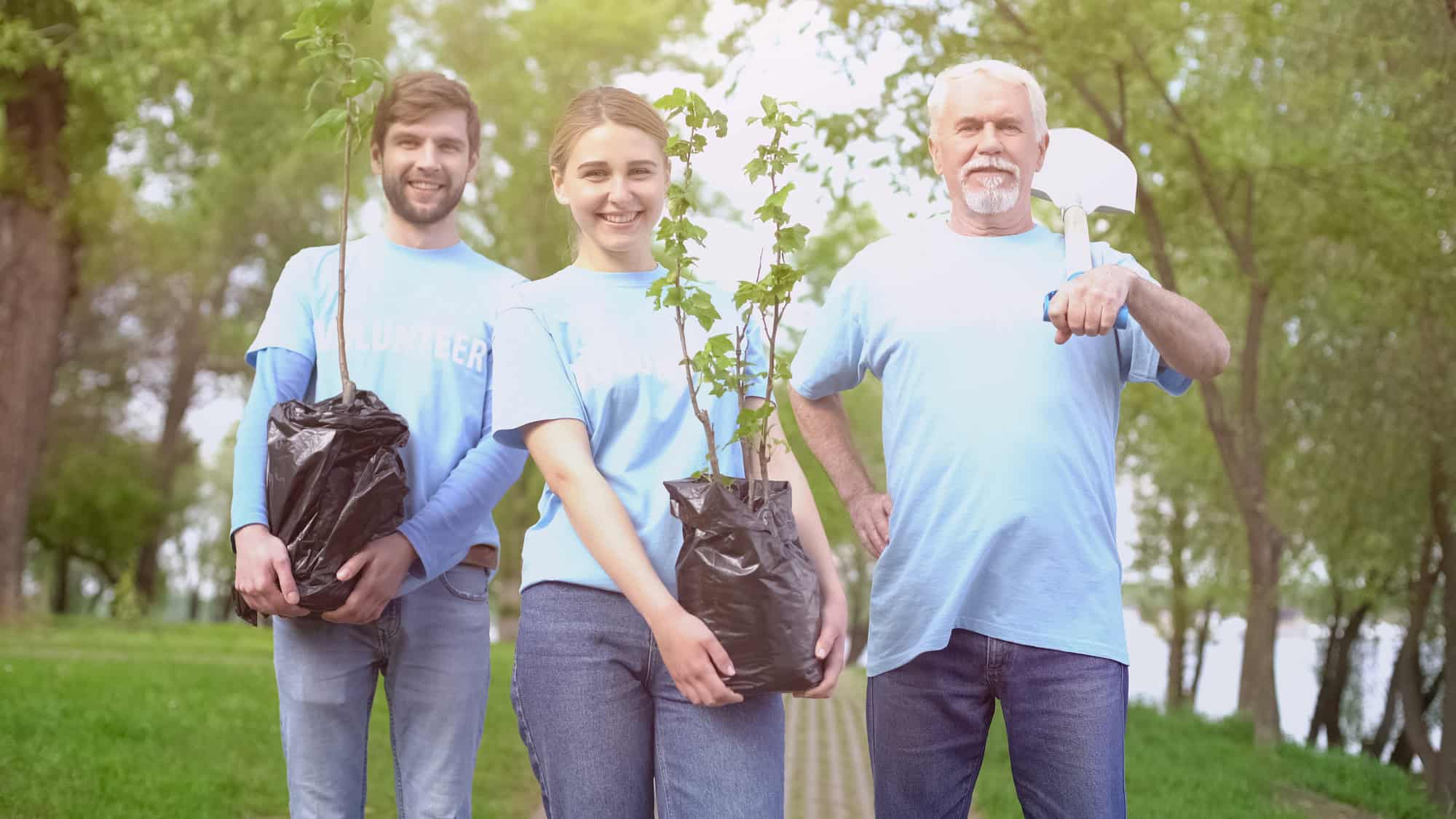 Friendly Arborist Company in Colorado Springs
